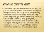 Inovacinis verslas 3