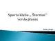 Sporto klubo Štormas verslo planas