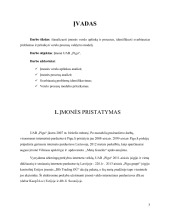 Pigu.lt analizė 3