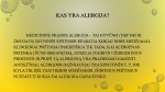 Šunų alergija 2