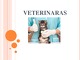 Veterinaro profesijos pristatymas