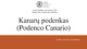 Kanarų podenkas