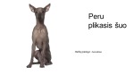Peru plikasis šuo 1
