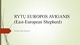 Rytų Europos aviganis 