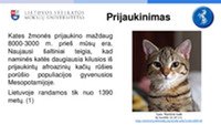 Katės elgesio stebėjimas ir vertinimas 3
