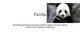 Gyvūno pristatymas: Panda