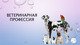 Ветеринарная профессия