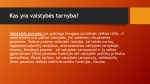 Valstybės tarnybos samprata skaidrės 2