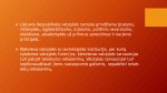 Valstybės tarnybos samprata skaidrės 3