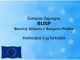 Europos sąjungos bendroji užsienio ir saugumo politika