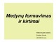 Medynų formavimas ir kirtimai (2)
