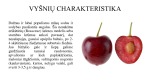Vyšnių kokybės reikalavimai 2