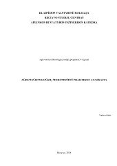Žemės ūkio įmonės augalininkystės produkcijos gamyba, laikymas ir realizavimas - praktikos ataskaita 1