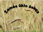 Žemės ūkio šakos skaidrės 1
