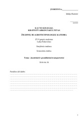 Juostiniai ir grandininiai transporteriai 2