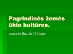 Žemės ūkio kultūros 1