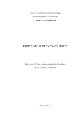 Architekto profesinės praktikos ataskaita savivaldybėje 1