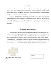 IT priemonės žemėtvarkoje 3