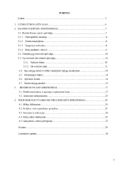 Kompleksinis kaimo vietovių planavimas 2